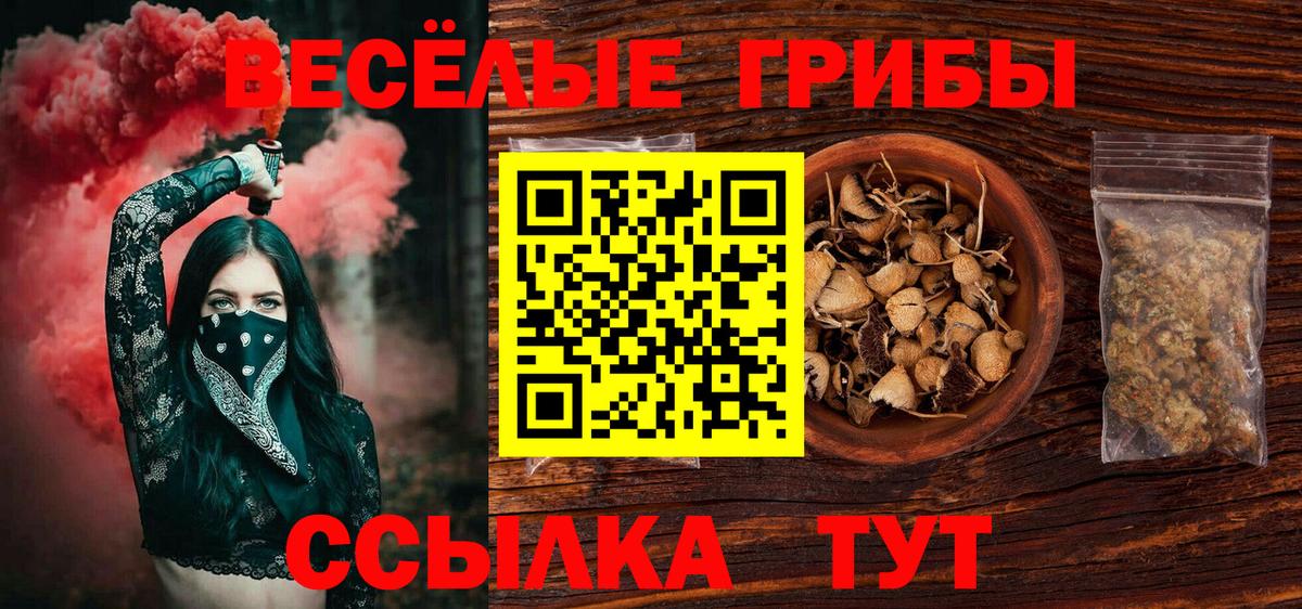 Псилоцибиновые грибы мицелий Конаково