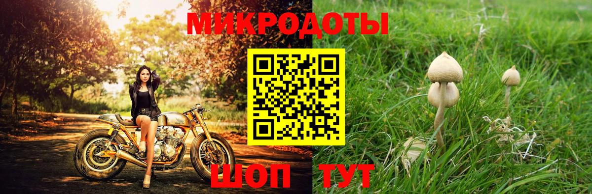 Псилоцибиновые грибы MAGIC MUSHROOMS  Вход с VPN  Конаково  Галлюциногенные грибы MAGIC MUSHROOMS 